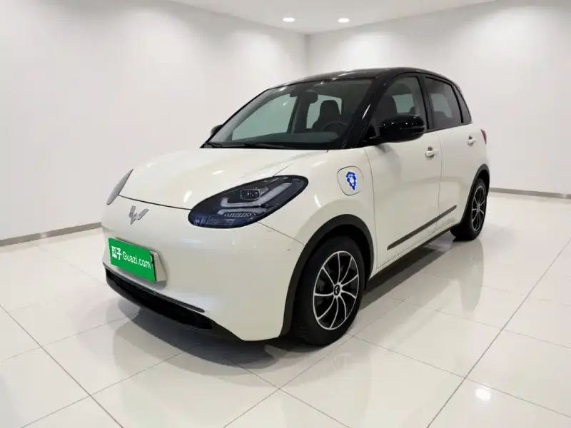 Wuling Bingo, 2024