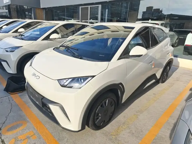 BYD Seagull, 2024