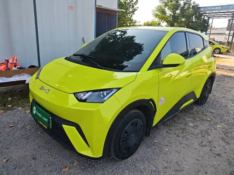 BYD Seagull, 2024