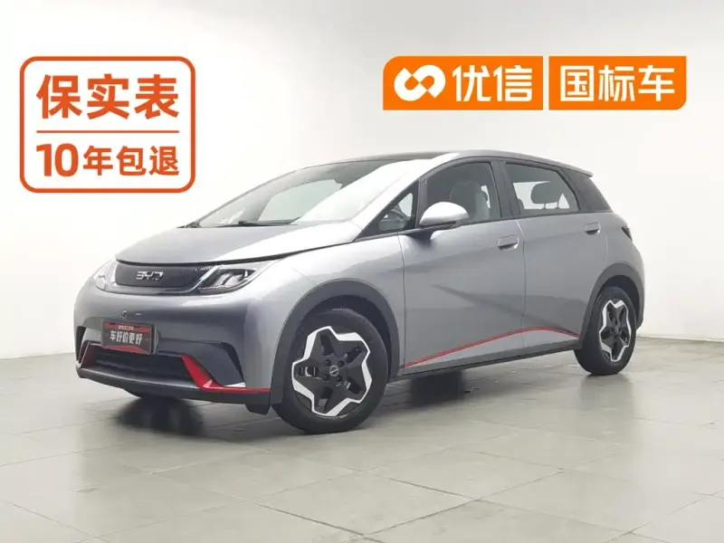 BYD Dolphin, 2022