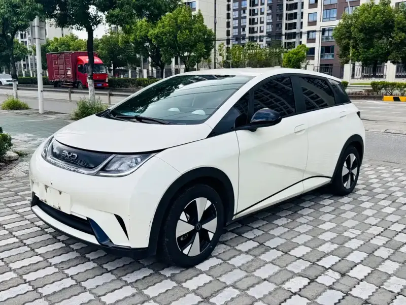 BYD Dolphin, 2023
