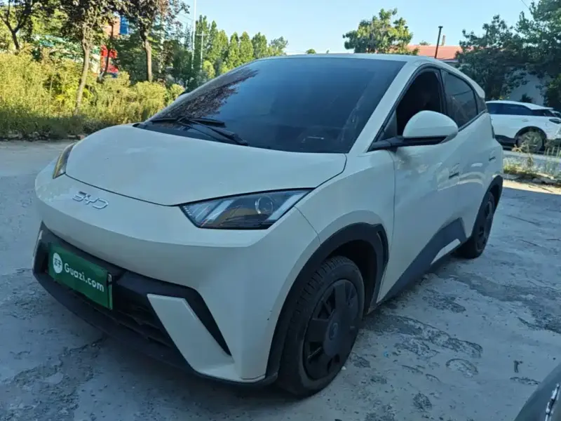 BYD Seagull, 2024