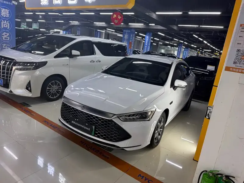 BYD Qin PLUS, 2024