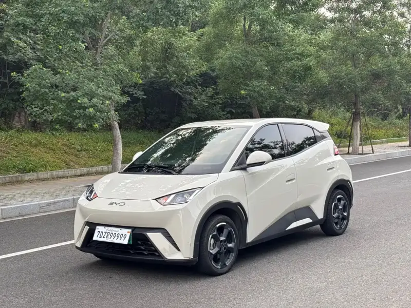 BYD Seagull, 2024