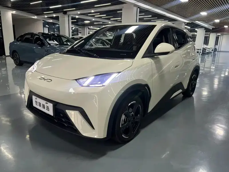 BYD Seagull, 2023