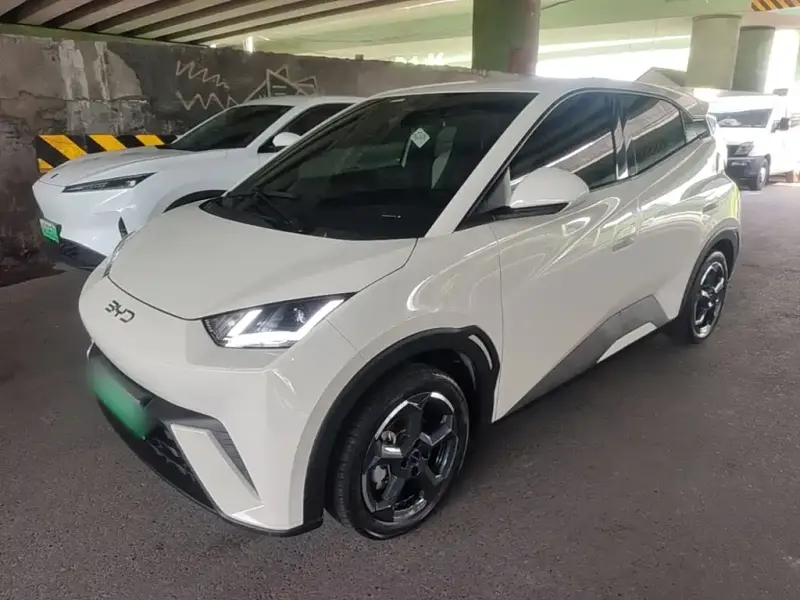 BYD Seagull, 2024
