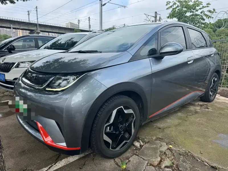 BYD Dolphin, 2022