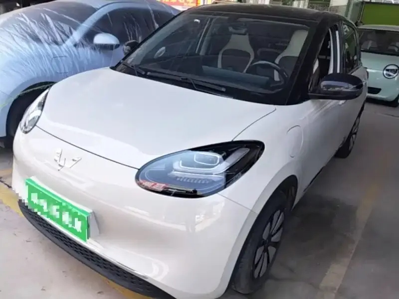 Wuling Bingo, 2024