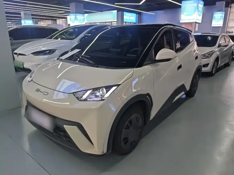 BYD Seagull, 2024