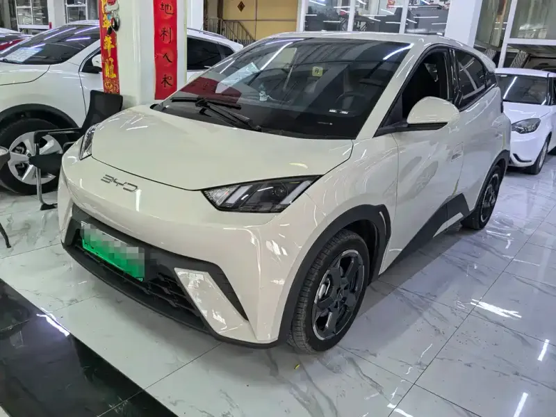 BYD Seagull, 2024