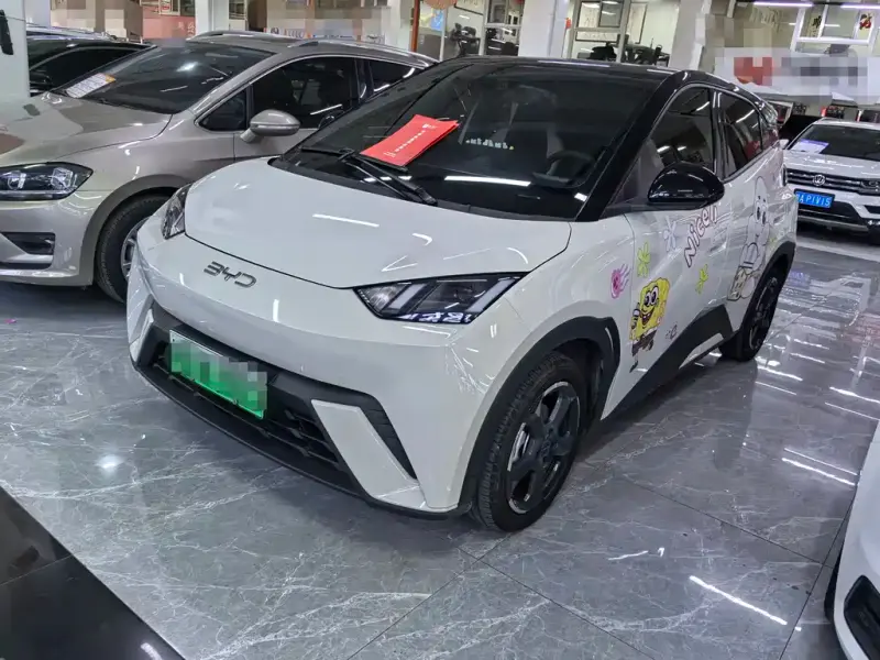BYD Seagull, 2024