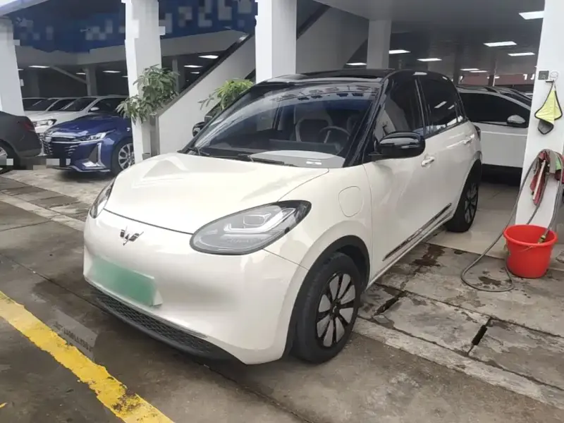 Wuling Bingo, 2024