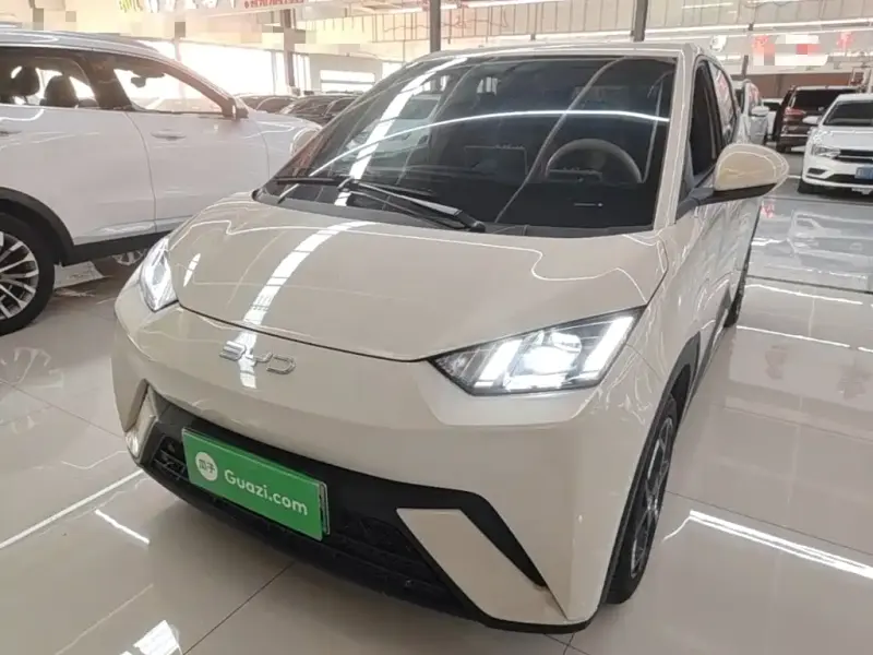 BYD Seagull, 2024