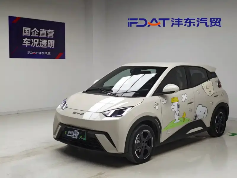 BYD Seagull, 2024