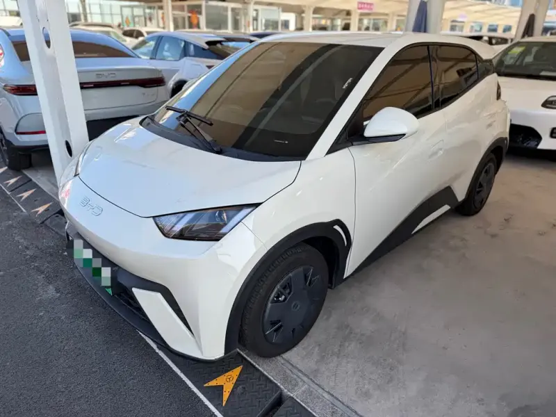 BYD Seagull, 2025
