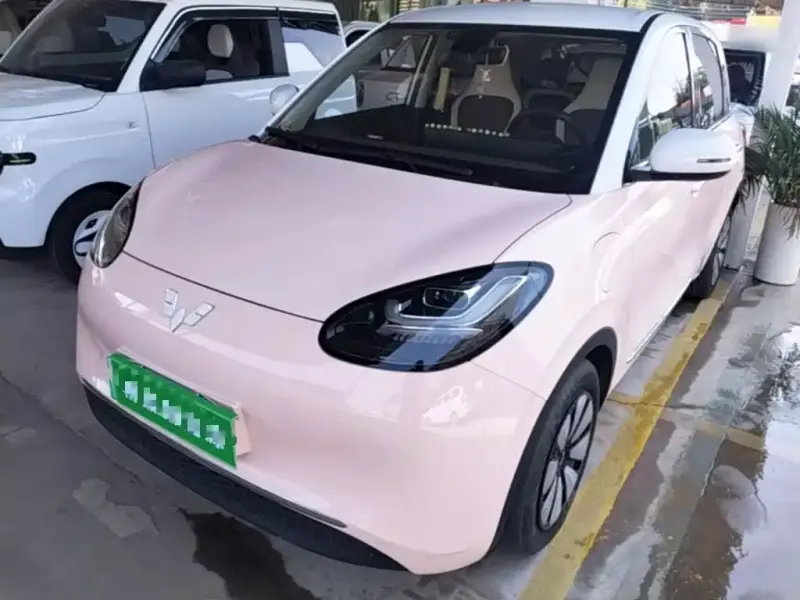 Wuling Bingo, 2024