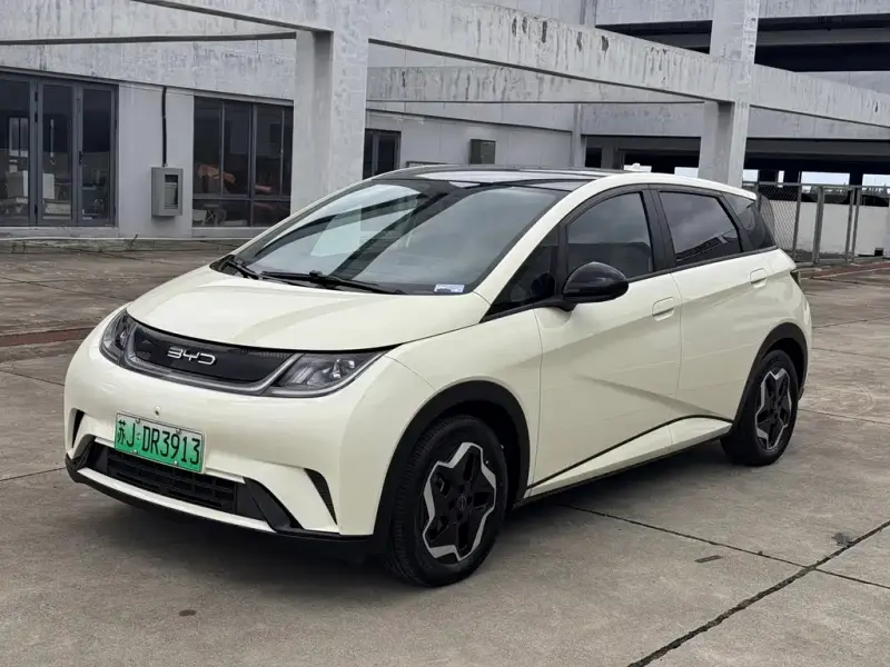 BYD Dolphin, 2022