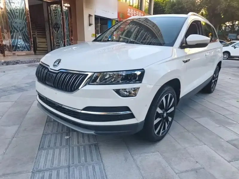 Skoda Karoq, 2021