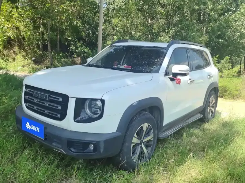 Haval Big Dog, 2021