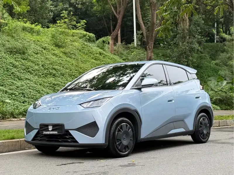 BYD Seagull, 2026