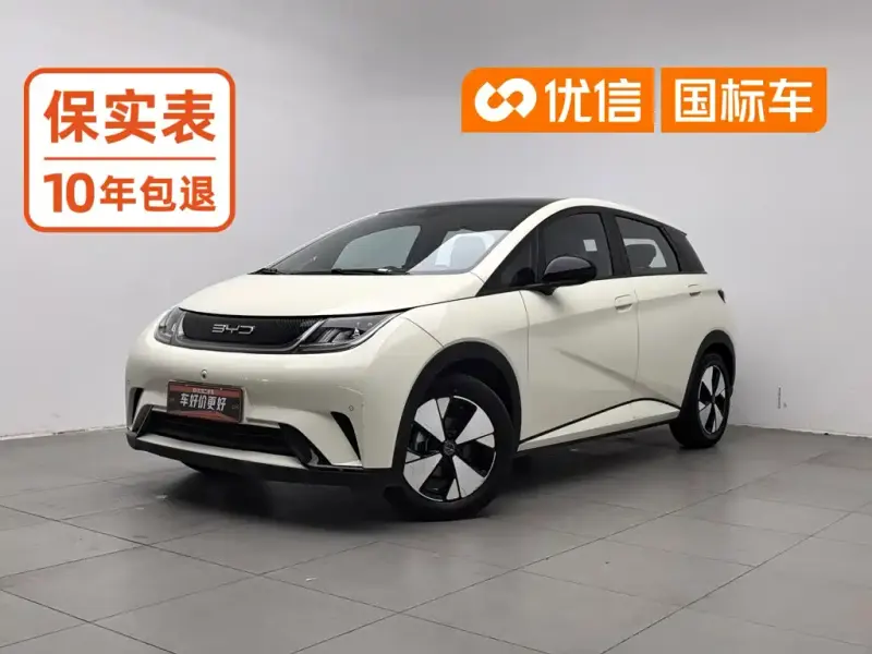 BYD Dolphin, 2023