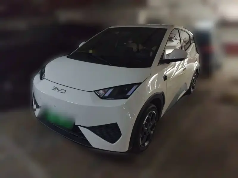 BYD Seagull, 2025