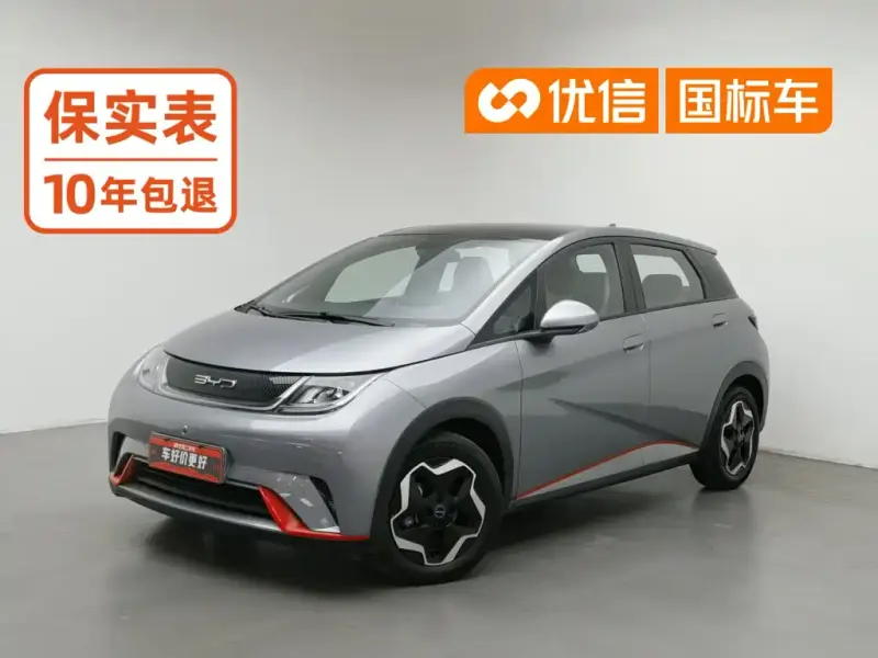 BYD Dolphin, 2023