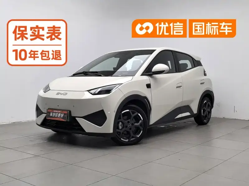 BYD Seagull, 2025