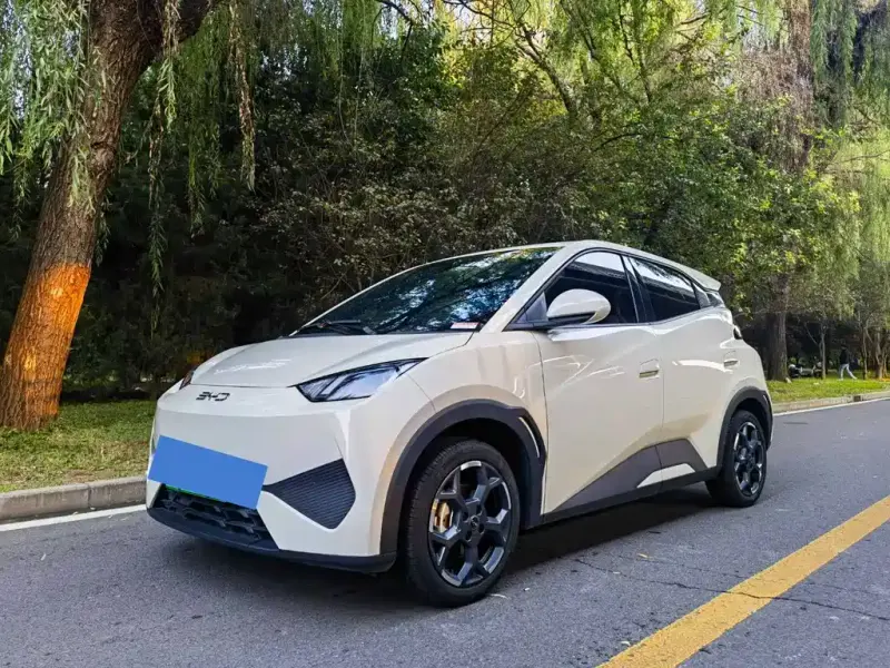 BYD Seagull, 2025