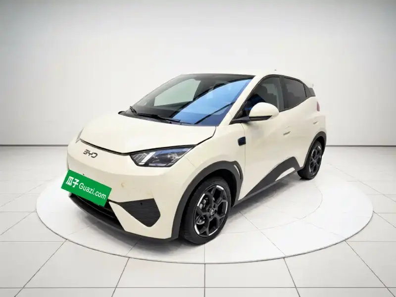 BYD Seagull, 2025
