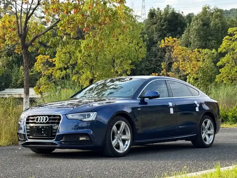 Audi A5 (Import), 2016