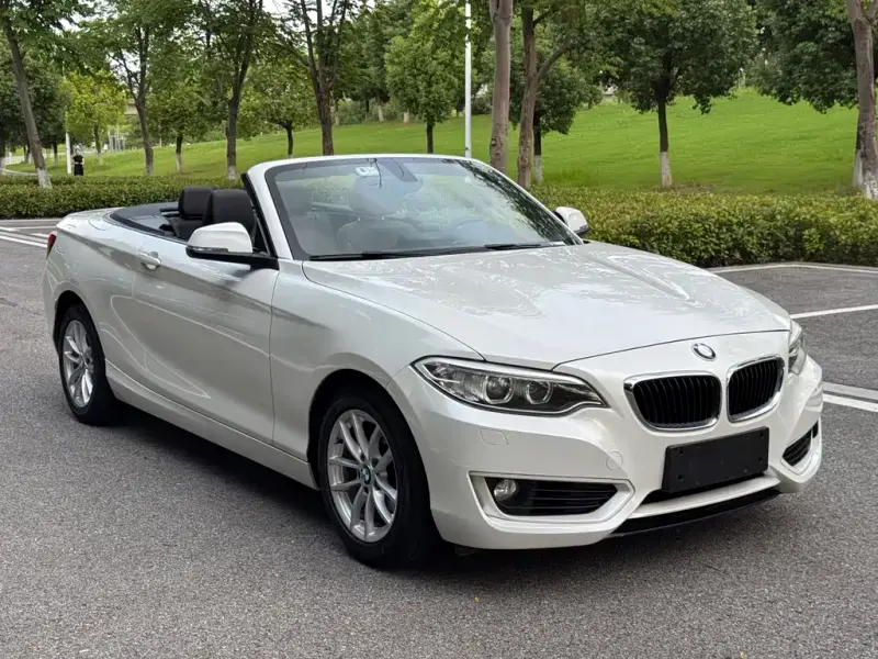 BMW 2 Series (Import), 2016
