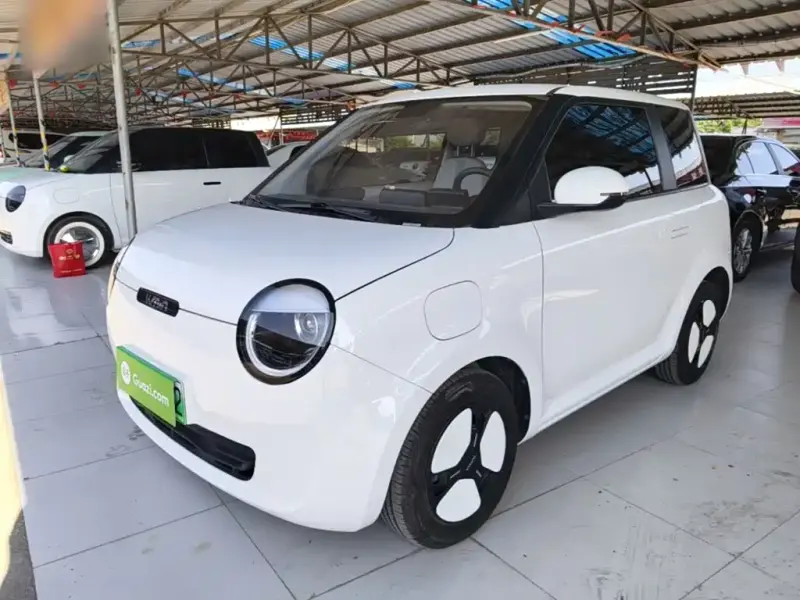 Qiyuan Lumin, 2025