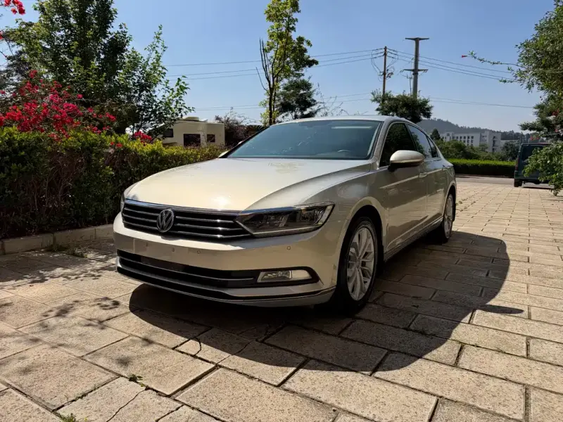 Volkswagen Magotan, 2018