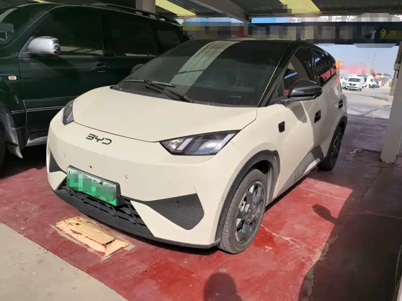 BYD Seagull, 2025