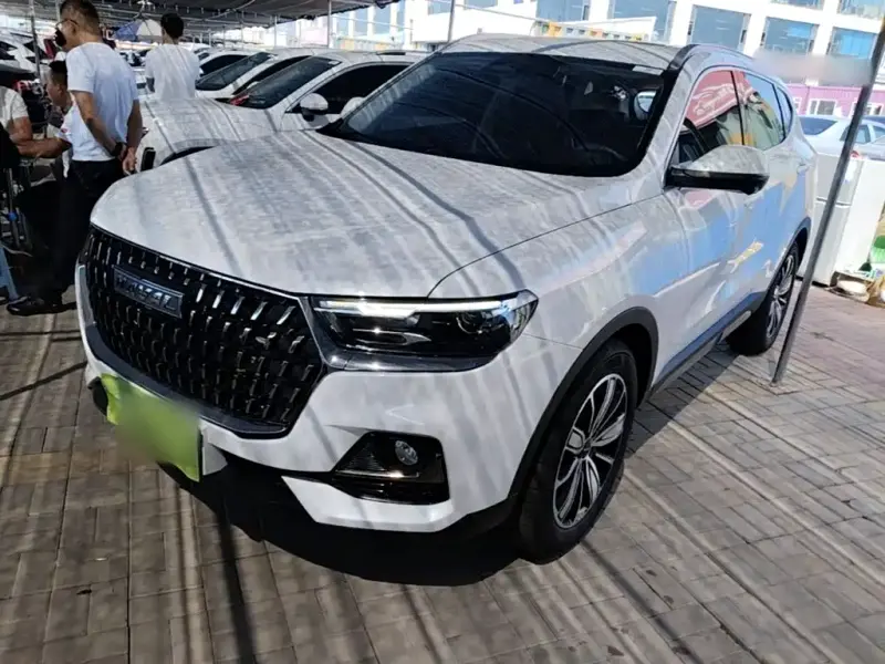 Haval H6, 2024