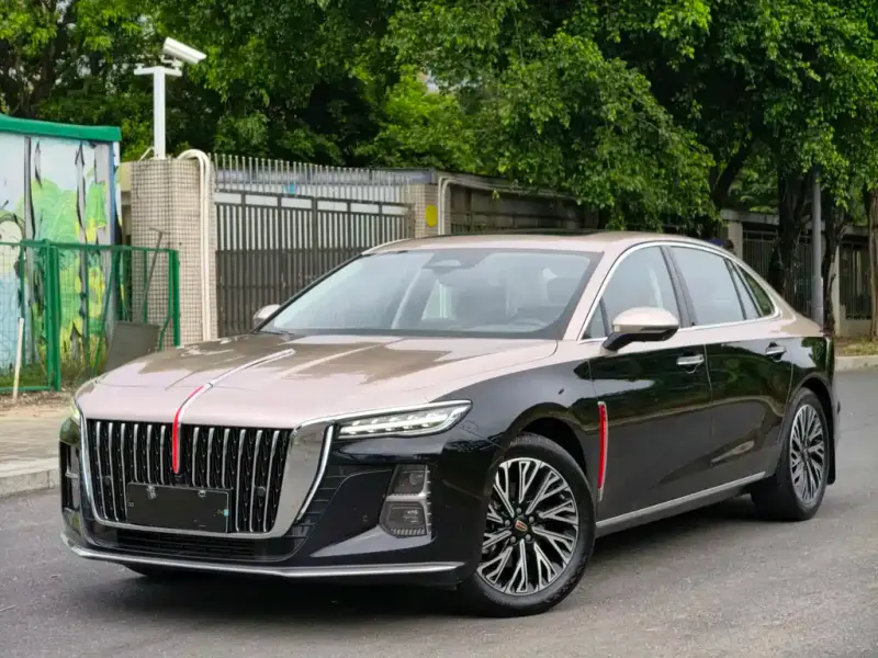 Hongqi H5, 2024