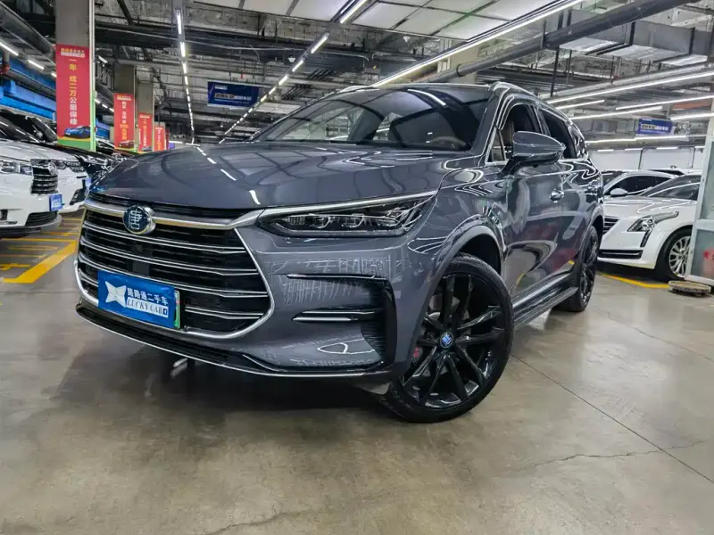 BYD Tang New Energy, 2021