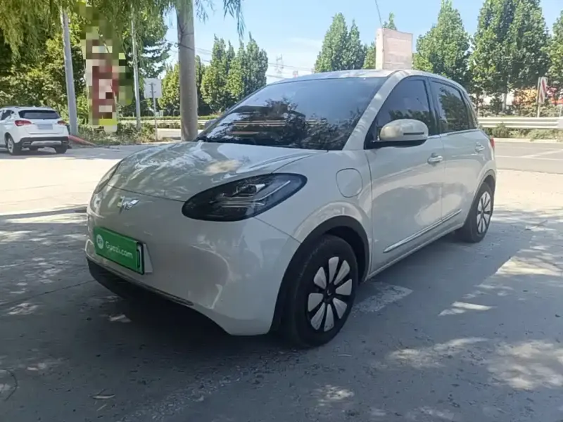 Wuling Bingo, 2024