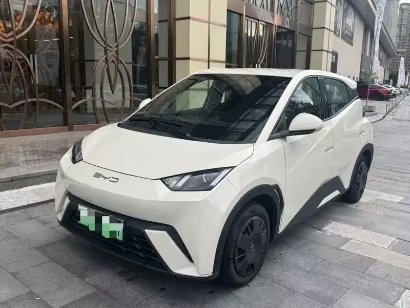 BYD Seagull, 2023