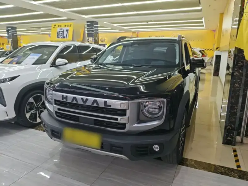 Haval Big Dog, 2024