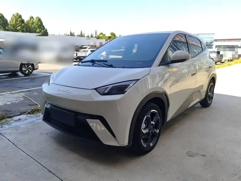 BYD Seagull, 2024