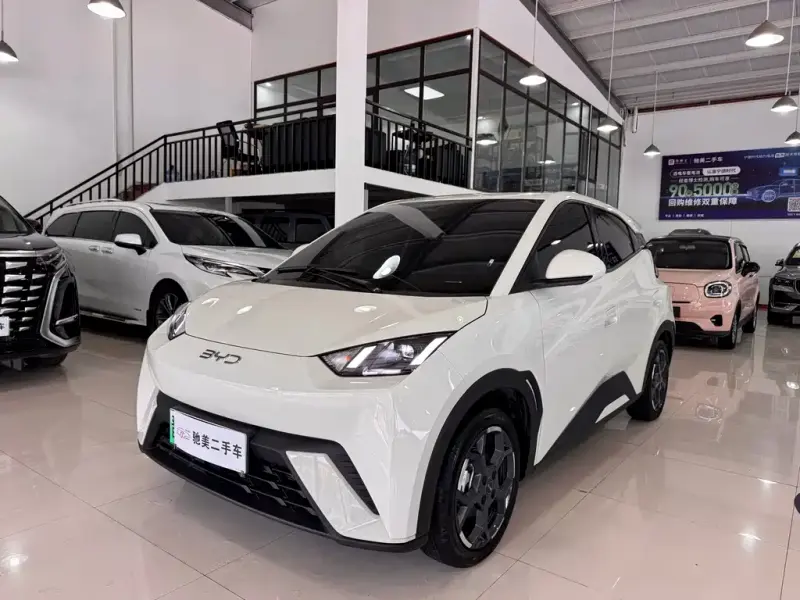 BYD Seagull, 2024