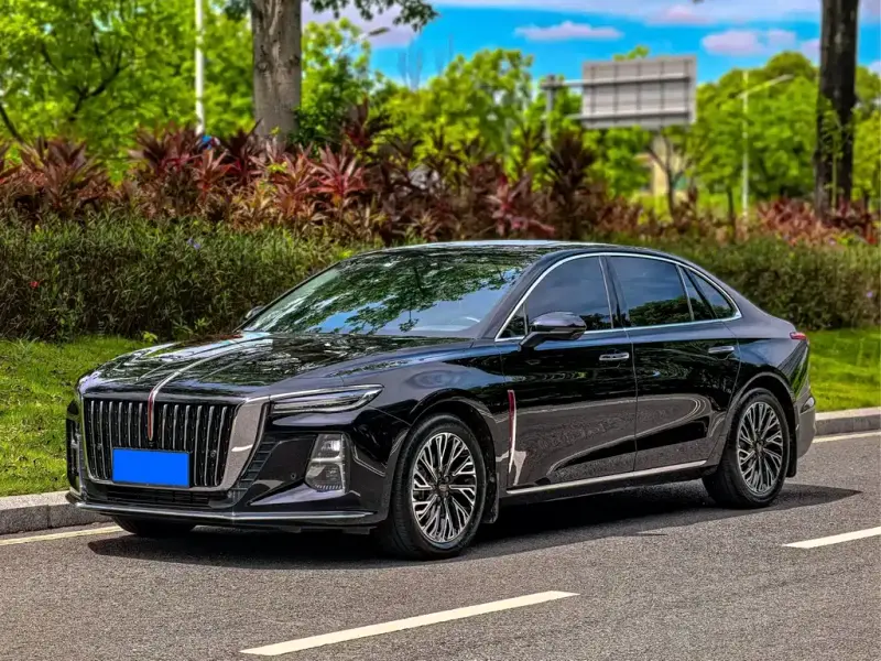 Hongqi H5, 2024