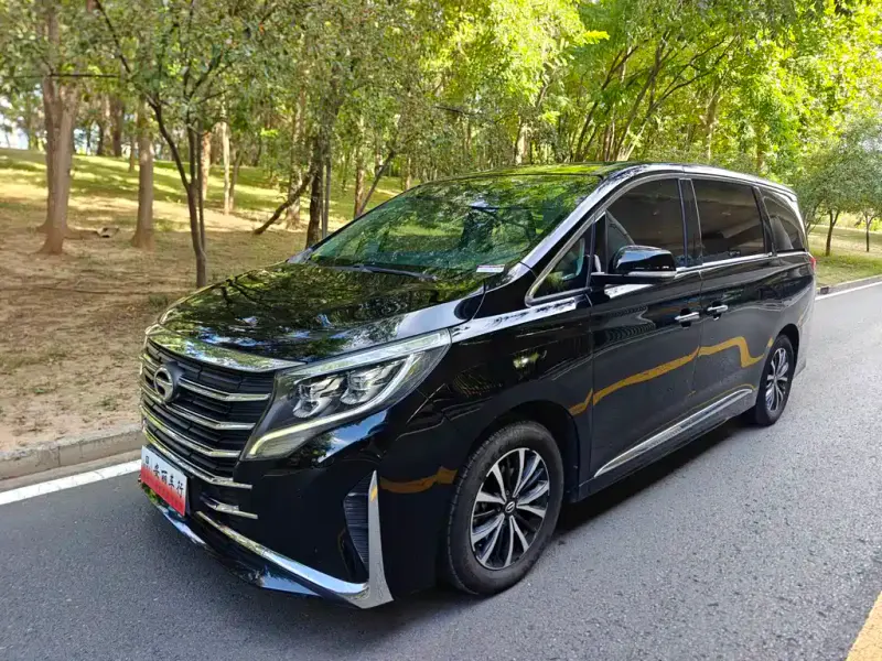 GAC Motor Trumpchi M8, 2021