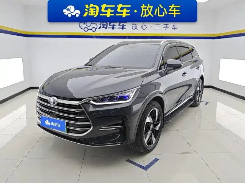 BYD Tang New Energy, 2024