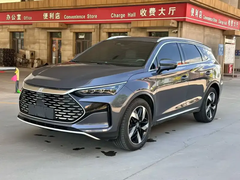 BYD Tang New Energy, 2024