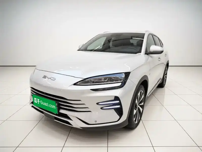 BYD PLUS New Energy, 2023