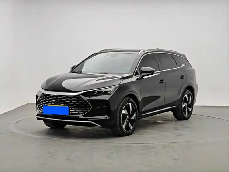 BYD Tang New Energy, 2024