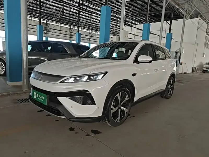 BYD Pro New Energy, 2025